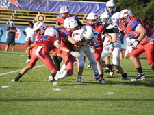 Enlarge photo 229