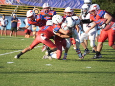 Enlarge photo 230