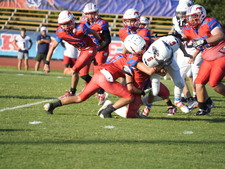 Enlarge photo 231