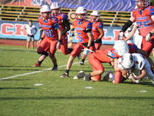 Enlarge photo 233