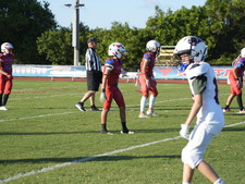 Enlarge photo 246