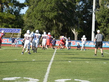 Enlarge photo 251