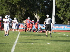 Enlarge photo 257