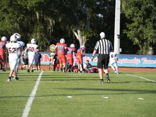 Enlarge photo 258