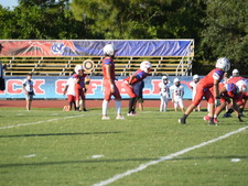 Enlarge photo 270