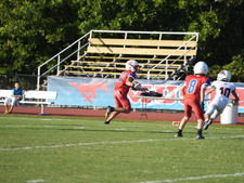 Enlarge photo 301