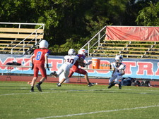 Enlarge photo 307