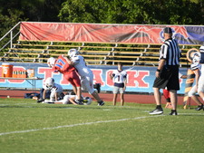 Enlarge photo 317