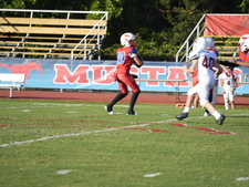 Enlarge photo 331