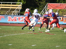 Enlarge photo 333