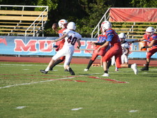 Enlarge photo 334