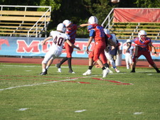 Enlarge photo 336