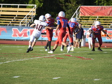 Enlarge photo 337