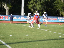 Enlarge photo 339