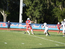 Enlarge photo 347