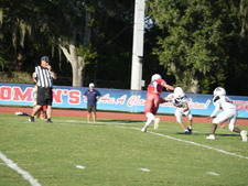 Enlarge photo 349