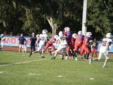 Enlarge photo 418