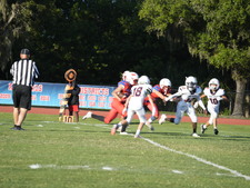 Enlarge photo 419