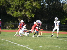 Enlarge photo 426