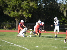 Enlarge photo 427