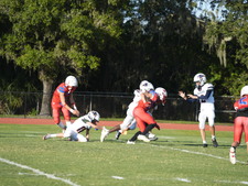Enlarge photo 428