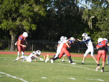 Enlarge photo 429