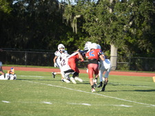 Enlarge photo 432