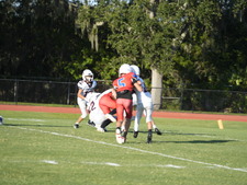 Enlarge photo 433