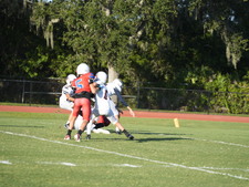 Enlarge photo 435