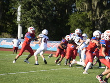 Enlarge photo 441
