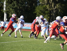 Enlarge photo 442