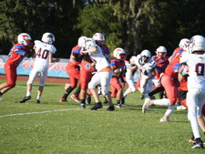 Enlarge photo 444