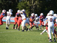 Enlarge photo 445