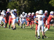 Enlarge photo 447
