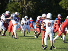 Enlarge photo 448