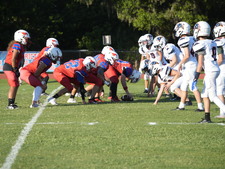 Enlarge photo 454