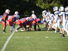 Enlarge photo 455