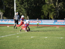 Enlarge photo 475