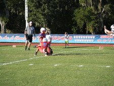 Enlarge photo 474