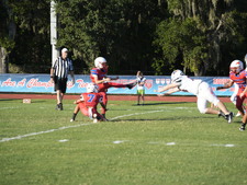 Enlarge photo 478