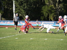 Enlarge photo 479
