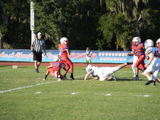 Enlarge photo 480
