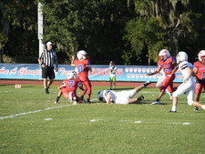 Enlarge photo 481