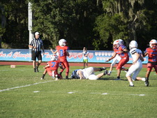 Enlarge photo 482