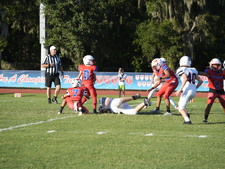 Enlarge photo 483