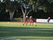 Enlarge photo 495