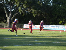 Enlarge photo 510
