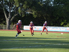 Enlarge photo 511
