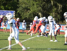 Enlarge photo 519