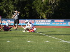 Enlarge photo 557